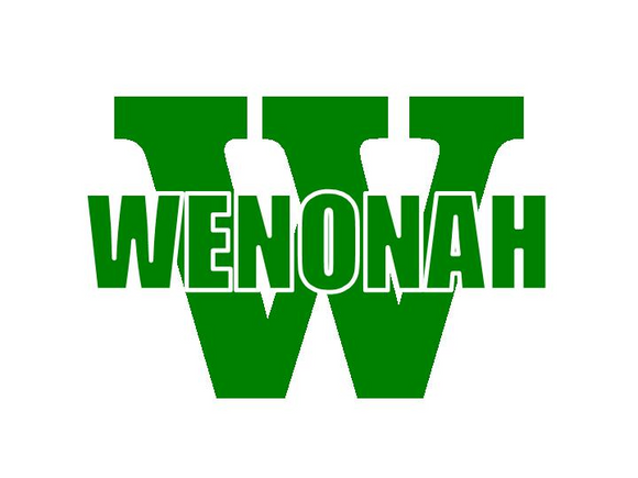 Wenonah Swim Team